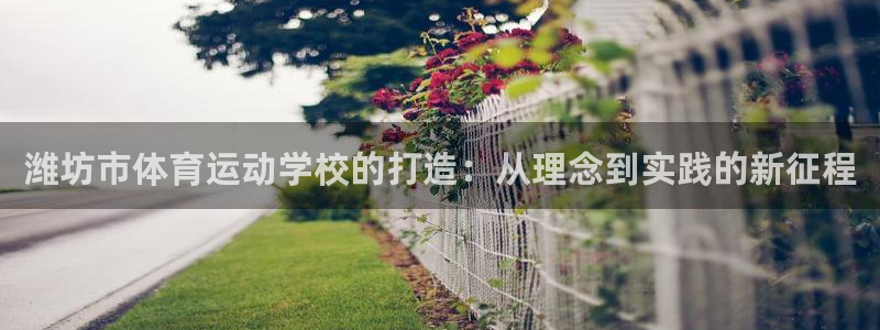 尊龙官网下载平台注册流程视频：潍坊市体育运动学校的打