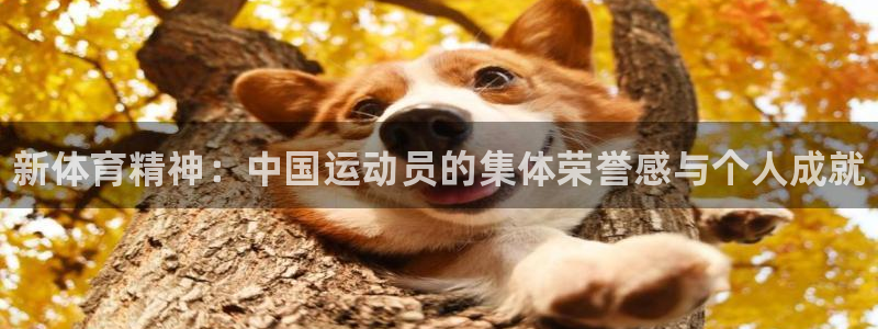 尊龙官方正版app官网：新体育精神：中国运动员的集体