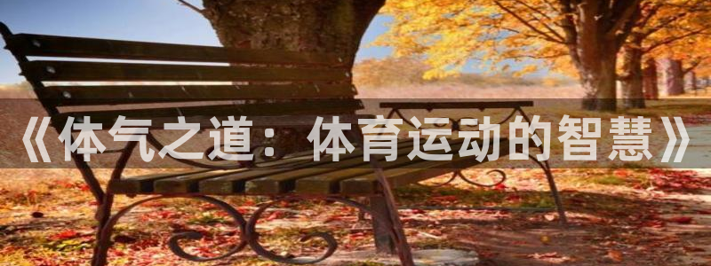 尊龙官方集团官网：《体气之道：体育运动的智慧》