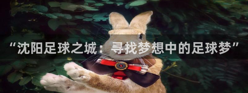尊龙官方正版app官方：“沈阳足球之城：寻找梦想中的