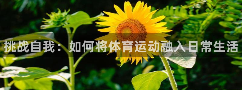 尊龙官网下载平台注册要钱吗：挑战自我：如何将体育运动