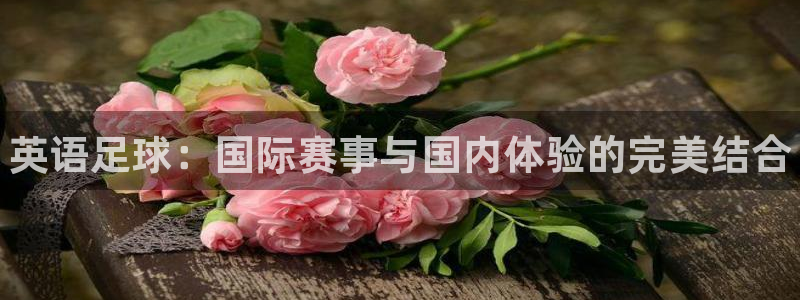 尊龙官网下载平台假的吗是真的吗：英语足球：国际赛事与