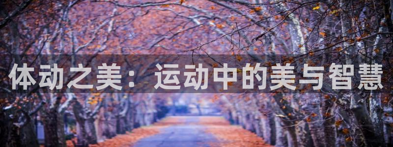 尊龙官网下载招商电话：体动之美：运动中的美与智慧