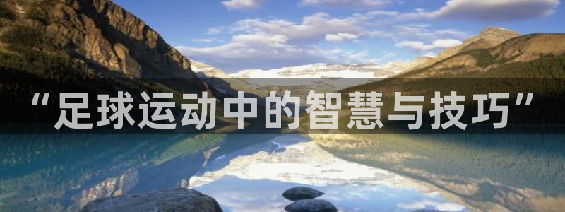 尊龙官网下载平台注册要钱吗安全吗：“足球运动中的智慧