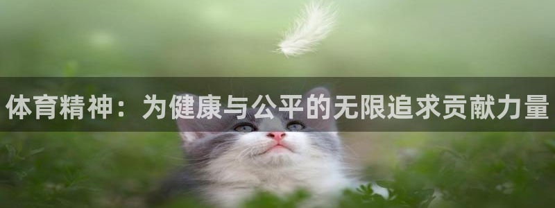 尊龙官方正版app娱乐首页官网下载：体育精神：为健康