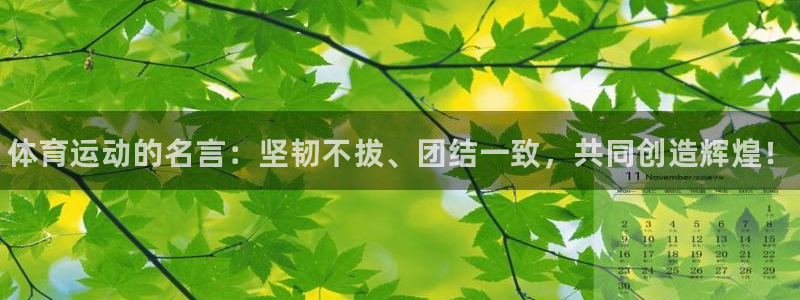 尊龙官方正版app神州：体育运动的名言：坚韧不拔、团