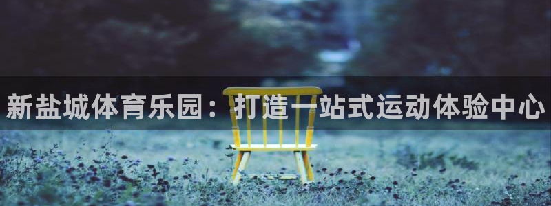 尊龙官网下载平台：新盐城体育乐园：打造一站式运动体验
