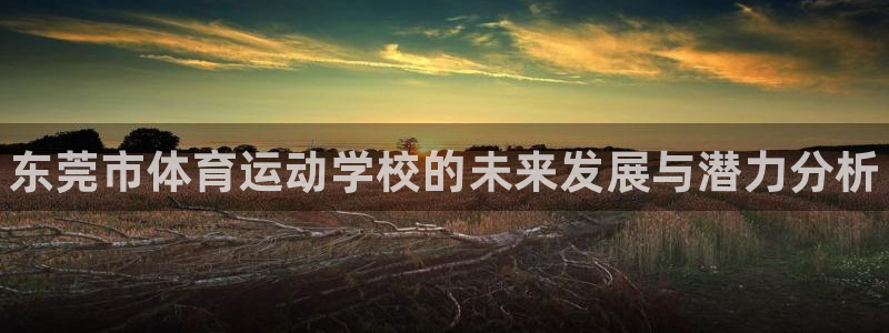 尊龙官方正版app集团：东莞市体育运动学校的未来发展与潜力分