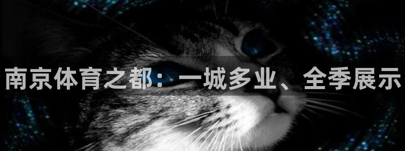 尊龙官方正版app集团官网首页网址：南京体育之都：一城多业、