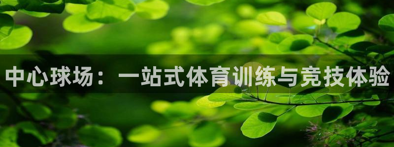 尊龙官网下载软件