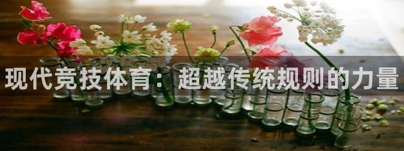 尊龙官方正版app娱乐代理怎么样：现代竞技体育：超越