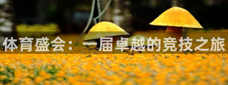 海南尊龙官网下载：体育盛会：一届卓越的竞技之旅