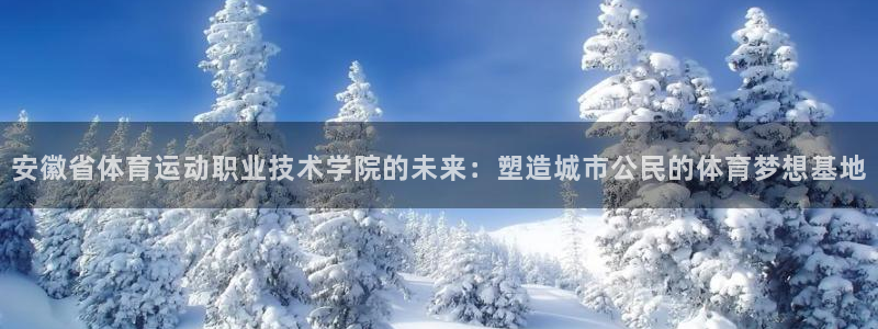 尊龙官方正版app集团logo：安徽省体育运动职业技
