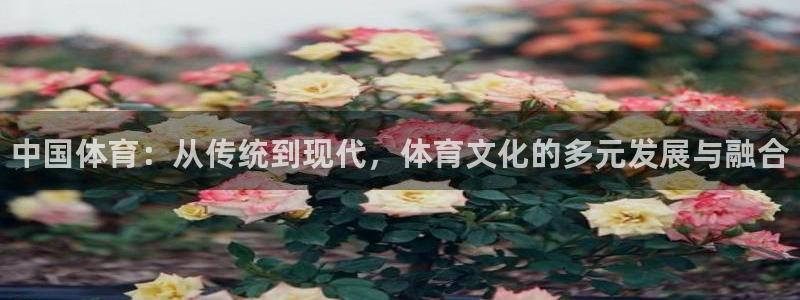 注册尊龙官方正版app：中国体育：从传统到现代，体育文化的多