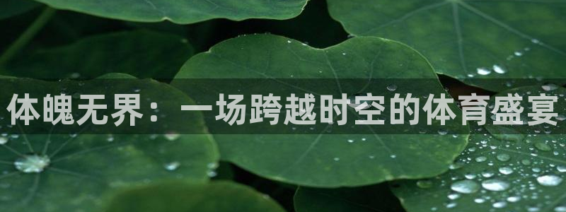 尊龙官方正版app五金厂：体魄无界：一场跨越时空的体育盛宴