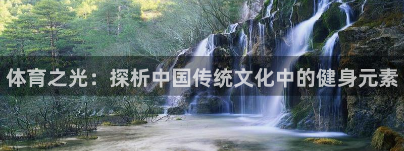 尊龙官方正版app娱乐是那个系列的台子：体育之光：探析中国传