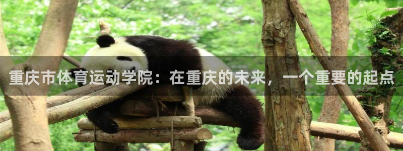 尊龙官方正版app新能源：重庆市体育运动学院：在重庆的未来，