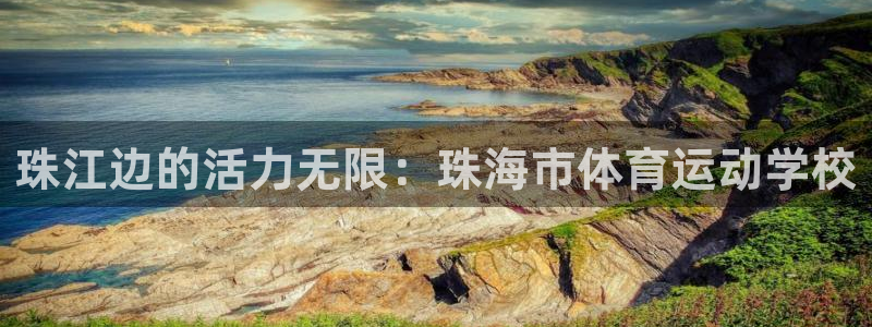 尊龙官方正版app新能源