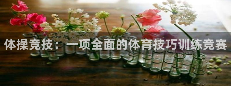 尊龙官网下载平台是正规平台吗：体操竞技：一项全面的体育技巧训