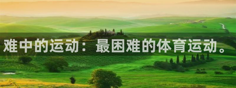 尊龙官网下载平台注册要钱吗安全吗：难中的运动：最困难的体育运