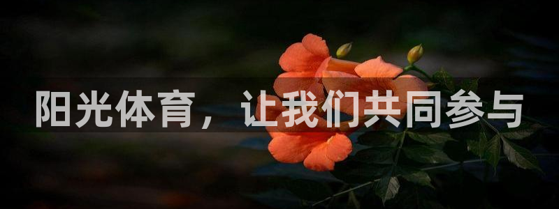 尊龙ag旗舰厅登陆：阳光体育，让我们