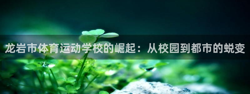 尊龙现金一下可靠送38元：龙岩市体育
