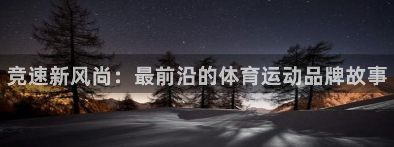 尊龙官方网站是真的吗：竞速新风尚：最