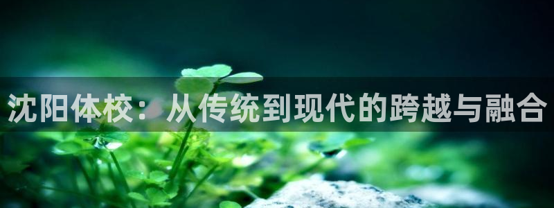 尊龙凯时网站官方：沈阳体校：从传统到