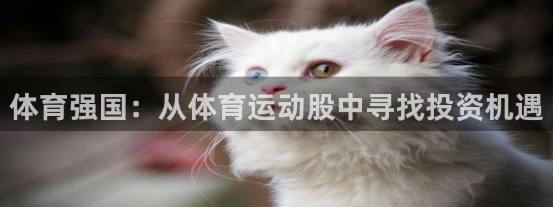 张国荣和尊龙私下认识吗：体育强国：从