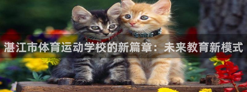 尊龙app - 尊龙官网登录：湛江市