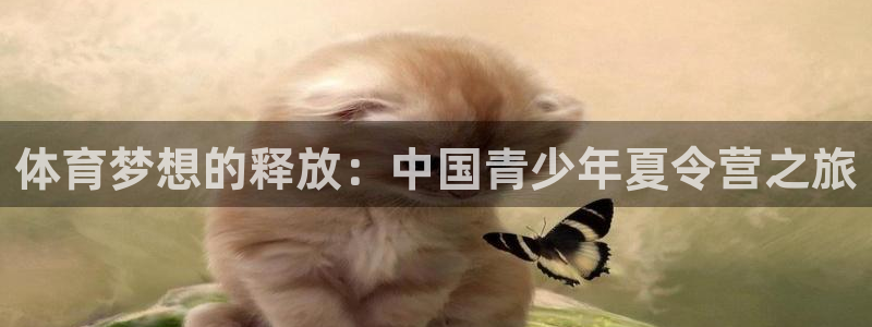尊龙凯时黑款不给出贴吧：体育梦想的释