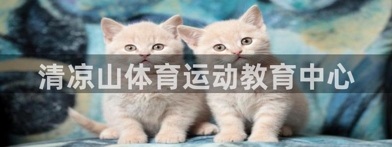尊龙凯时与利来：清凉山体育运动教育中