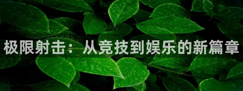 尊龙人生就是博登录准认来就送38：极