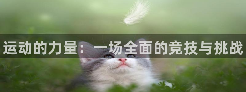  尊龙凯时小额快存是打给玩家吗：运动的力量：一场全面的竞技与挑