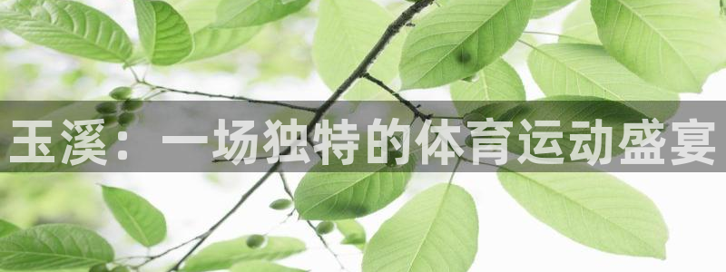  尊龙-人生就是博!：玉溪：一场独特的体育运动盛宴