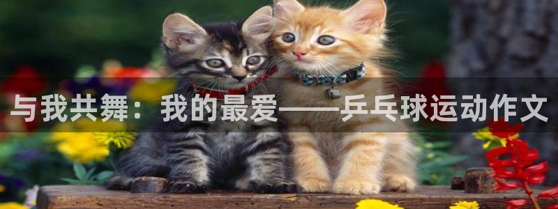  尊龙人生就是博中国区：与我共舞：我的最爱——乒乓球运动作文