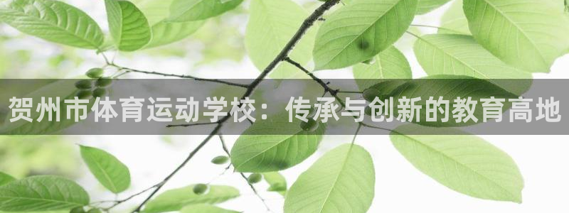 尊龙凯时的人生感悟：贺州市体育运动学校：传承与创新的教育高地