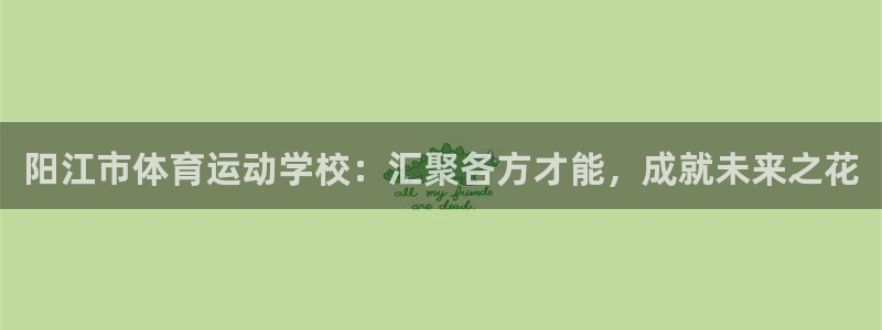 尊龙官方正版app集团简介：阳江市体育运动学校：汇聚各方才能