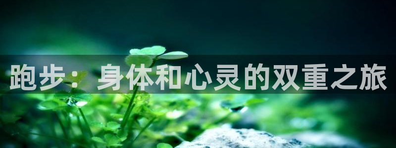 尊龙官网下载平台注册要钱吗安全吗：跑步：身体和心灵的双重之旅