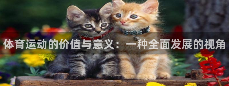 尊龙官网下载招商电话地址是多少：体育运动的价值与意义：一种全