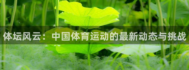 尊龙官方正版app集团简介：体坛风云：中国体育运动的最新动态