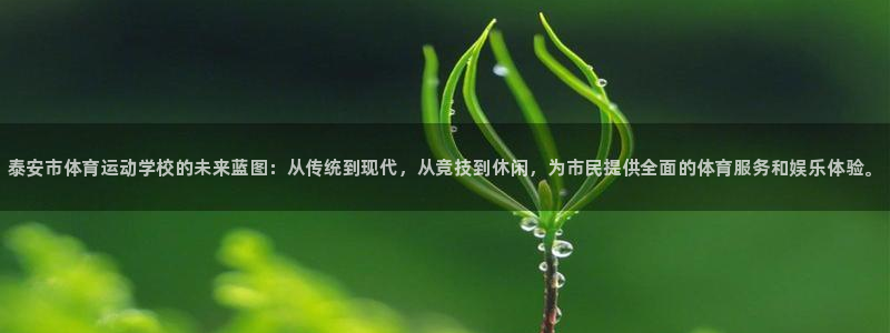尊龙官网下载招商电话号码查询是多少：泰安市体育运动学校的未来