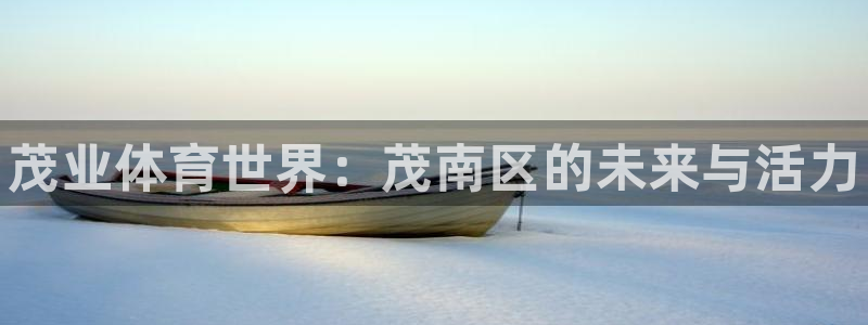 尊龙官方正版app娱乐网站：茂业体育世界：茂南区的未来与活力