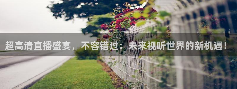 袋鼠体育直播看球：超高清直播盛宴，不容错过：未来视听世界的新机遇！