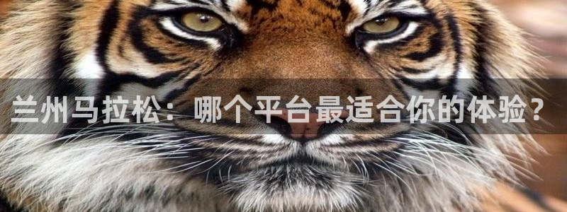 袋鼠体育：兰州马拉松：哪个平台最适合你的体验？
