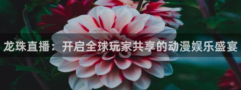 袋鼠体育足球直播：龙珠直播：开启全球玩家共享的动漫娱乐盛宴